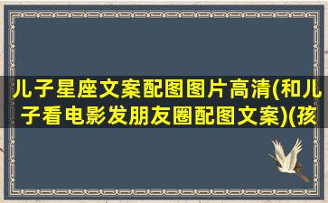 儿子星座文案配图图片高清(和儿子看电影发朋友圈配图文案)(孩子星座时间表)