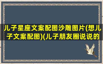 儿子星座文案配图沙雕图片(想儿子文案配图)(儿子朋友圈说说的好句子)