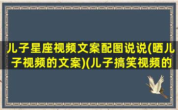 儿子星座视频文案配图说说(晒儿子视频的文案)(儿子搞笑视频的说说)