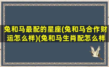 兔和马最配的星座(兔和马合作财运怎么样)(兔和马生肖配怎么样)