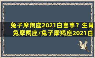 兔子摩羯座2021白喜事？生肖兔摩羯座/兔子摩羯座2021白喜事？生肖兔摩羯座-我的网站