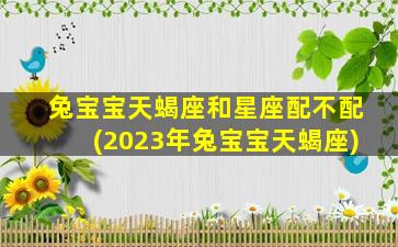 兔宝宝天蝎座和星座配不配(2023年兔宝宝天蝎座)