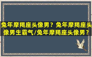 兔年摩羯座头像男？兔年摩羯座头像男生霸气/兔年摩羯座头像男？兔年摩羯座头像男生霸气-我的网站