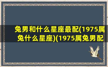 兔男和什么星座最配(1975属兔什么星座)(1975属兔男配什么生肖合适)