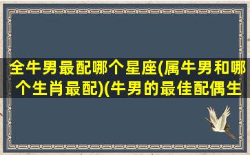 全牛男最配哪个星座(属牛男和哪个生肖最配)(牛男的最佳配偶生肖)