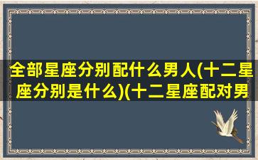 全部星座分别配什么男人(十二星座分别是什么)(十二星座配对男配女)