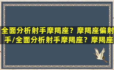 全面分析射手摩羯座？摩羯座偏射手/全面分析射手摩羯座？摩羯座偏射手-我的网站