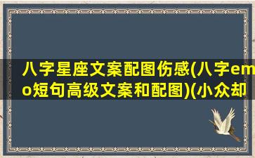 八字星座文案配图伤感(八字emo短句高级文案和配图)(小众却惊艳的八字文案)