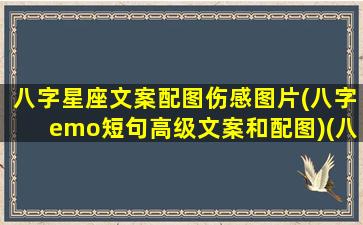 八字星座文案配图伤感图片(八字emo短句高级文案和配图)(八字文案干净高雅)