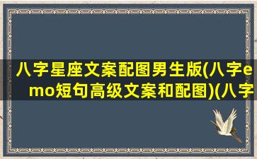 八字星座文案配图男生版(八字emo短句高级文案和配图)(八字文案干净高雅)