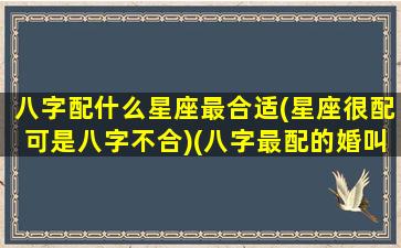 八字配什么星座最合适(星座很配可是八字不合)(八字最配的婚叫什么)