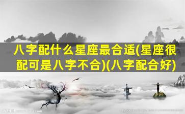 八字配什么星座最合适(星座很配可是八字不合)(八字配合好)