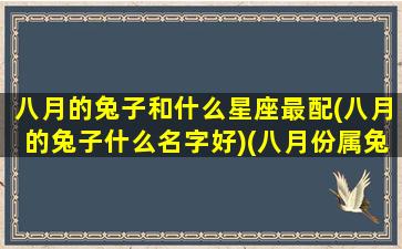 八月的兔子和什么星座最配(八月的兔子什么名字好)(八月份属兔的是什么星座)