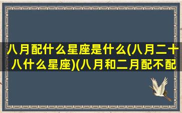 八月配什么星座是什么(八月二十八什么星座)(八月和二月配不配)