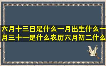 六月十三日是什么一月出生什么一月三十一是什么农历六月初二什么九月4日是什么星座的(六月十三日是什么周)