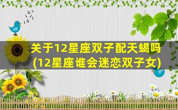 关于12星座双子配天蝎吗(12星座谁会迷恋双子女)