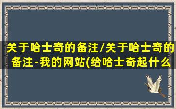 关于哈士奇的备注/关于哈士奇的备注-我的网站(给哈士奇起什么名字好听)