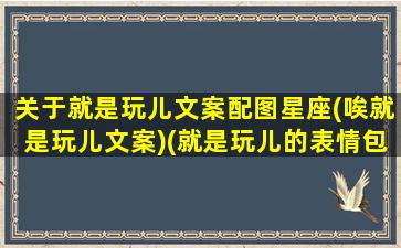 关于就是玩儿文案配图星座(唉就是玩儿文案)(就是玩儿的表情包)