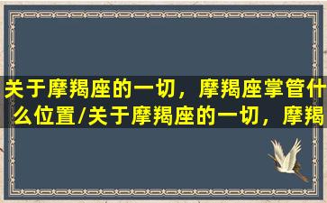 关于摩羯座的一切，摩羯座掌管什么位置/关于摩羯座的一切，摩羯座掌管什么位置-我的网站