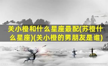 关小橙和什么星座最配(苏橙什么星座)(关小橙的男朋友是谁)