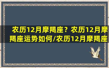 农历12月摩羯座？农历12月摩羯座运势如何/农历12月摩羯座？农历12月摩羯座运势如何-我的网站