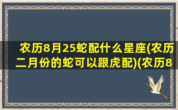 农历8月25蛇配什么星座(农历二月份的蛇可以跟虎配)(农历8月25日属什么生肖)