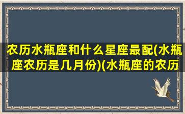 农历水瓶座和什么星座最配(水瓶座农历是几月份)(水瓶座的农历是什么)