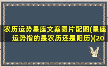 农历运势星座文案图片配图(星座运势指的是农历还是阳历)(2021年12星座农历各月运势)