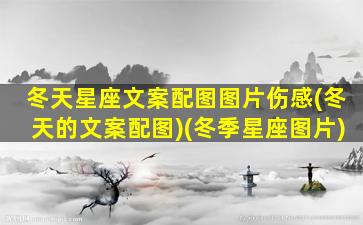 冬天星座文案配图图片伤感(冬天的文案配图)(冬季星座图片)