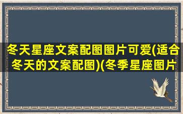 冬天星座文案配图图片可爱(适合冬天的文案配图)(冬季星座图片)