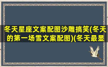 冬天星座文案配图沙雕搞笑(冬天的第一场雪文案配图)(冬天最显著的星座)