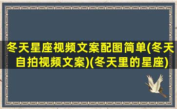 冬天星座视频文案配图简单(冬天自拍视频文案)(冬天里的星座)