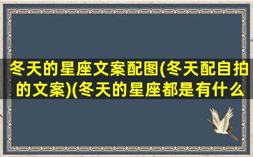 冬天的星座文案配图(冬天配自拍的文案)(冬天的星座都是有什么)