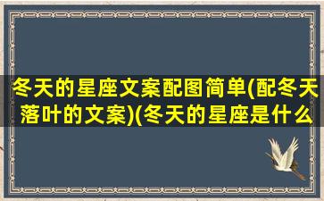 冬天的星座文案配图简单(配冬天落叶的文案)(冬天的星座是什么星座)