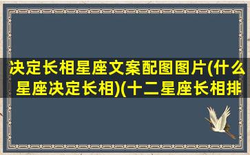 决定长相星座文案配图图片(什么星座决定长相)(十二星座长相排名史上最完整最准!)