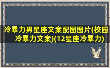 冷暴力男星座文案配图图片(校园冷暴力文案)(12星座冷暴力)