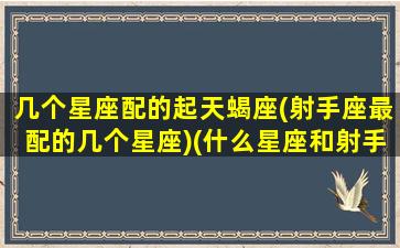 几个星座配的起天蝎座(射手座最配的几个星座)(什么星座和射手座是天生的一对)