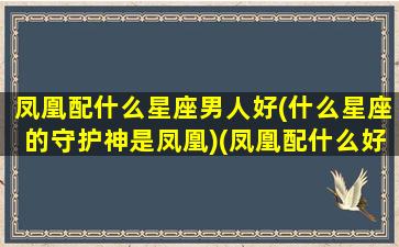 凤凰配什么星座男人好(什么星座的守护神是凤凰)(凤凰配什么好看)