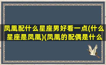 凤凰配什么星座男好看一点(什么星座是凤凰)(凤凰的配偶是什么)