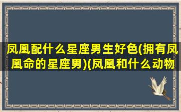 凤凰配什么星座男生好色(拥有凤凰命的星座男)(凤凰和什么动物最配)