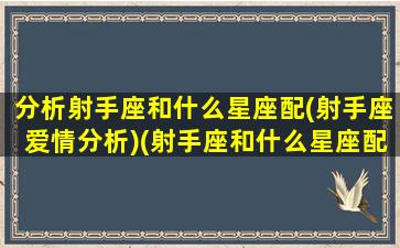 分析射手座和什么星座配(射手座爱情分析)(射手座和什么星座配排行榜)