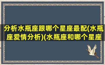 分析水瓶座跟哪个星座最配(水瓶座爱情分析)(水瓶座和哪个星座最般配呢)