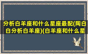 分析白羊座和什么星座最配(陶白白分析白羊座)(白羊座和什么星座配对最合适)