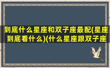 到底什么星座和双子座最配(星座到底看什么)(什么星座跟双子座)