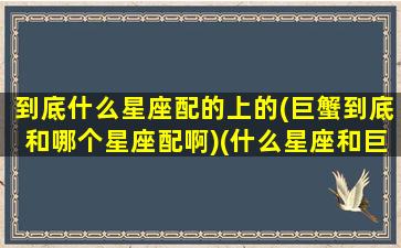 到底什么星座配的上的(巨蟹到底和哪个星座配啊)(什么星座和巨蟹座最匹配)