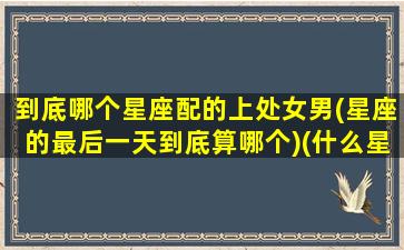 到底哪个星座配的上处女男(星座的最后一天到底算哪个)(什么星座和处女男最配)