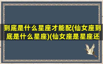 到底是什么星座才能配(仙女座到底是什么星座)(仙女座是星座还是星系)