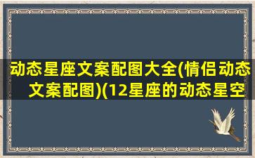 动态星座文案配图大全(情侣动态文案配图)(12星座的动态星空壁纸)