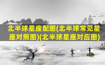 北半球星座配图(北半球常见星座对照图)(北半球星座对应图)