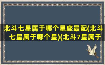 北斗七星属于哪个星座最配(北斗七星属于哪个星)(北斗7星属于哪个星座)